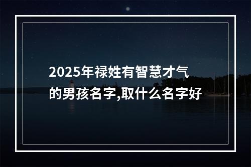 2025年禄姓有智慧才气的男孩名字,取什么名字好