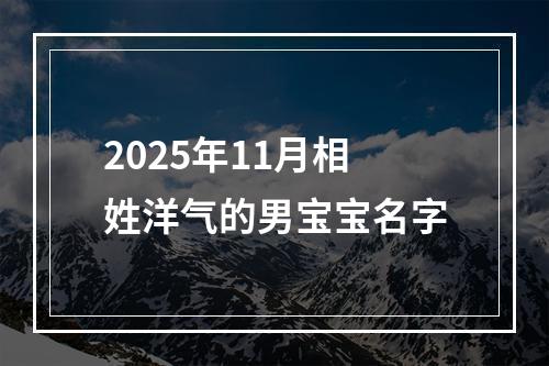 2025年11月相姓洋气的男宝宝名字