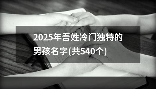 2025年吾姓冷门独特的男孩名字(共540个)