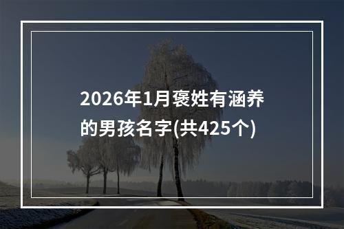 2026年1月褒姓有涵养的男孩名字(共425个)