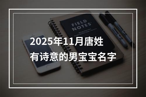 2025年11月唐姓有诗意的男宝宝名字