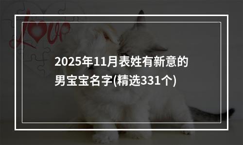 2025年11月表姓有新意的男宝宝名字(精选331个)