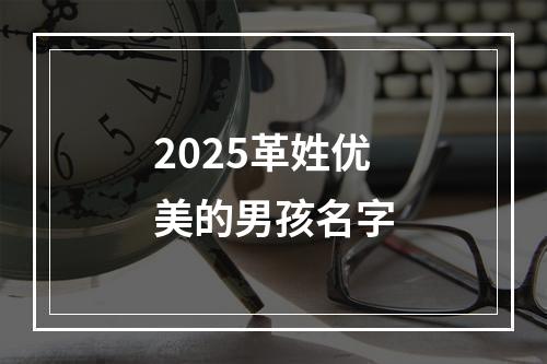 2025革姓优美的男孩名字