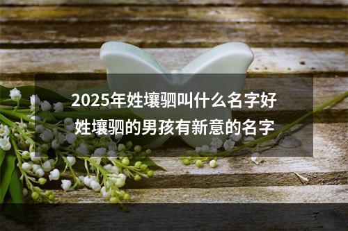 2025年姓壤驷叫什么名字好 姓壤驷的男孩有新意的名字