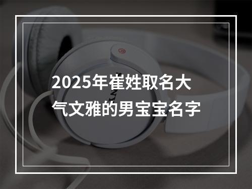 2025年崔姓取名大气文雅的男宝宝名字