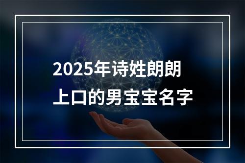 2025年诗姓朗朗上口的男宝宝名字