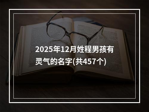 2025年12月姓程男孩有灵气的名字(共457个)