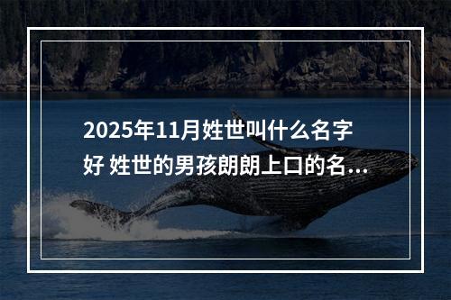 2025年11月姓世叫什么名字好 姓世的男孩朗朗上口的名字