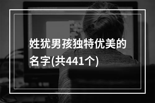 姓犹男孩独特优美的名字(共441个)