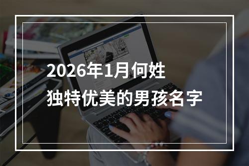 2026年1月何姓独特优美的男孩名字