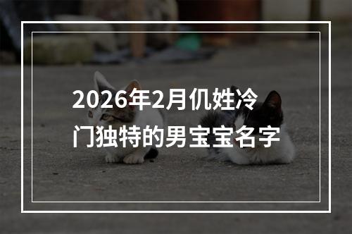 2026年2月仉姓冷门独特的男宝宝名字