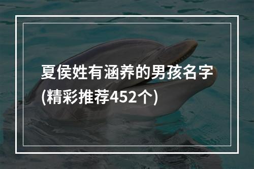 夏侯姓有涵养的男孩名字(精彩推荐452个)