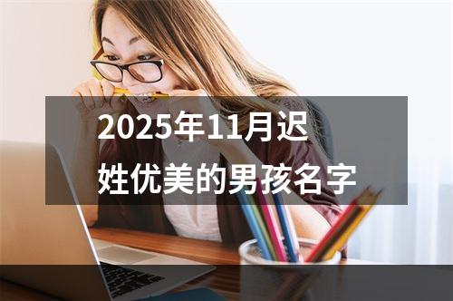 2025年11月迟姓优美的男孩名字