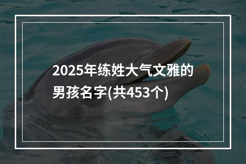 2025年练姓大气文雅的男孩名字(共453个)