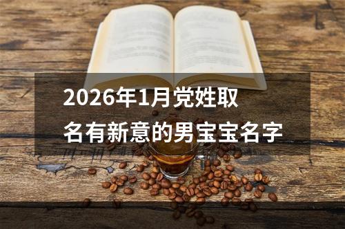 2026年1月党姓取名有新意的男宝宝名字
