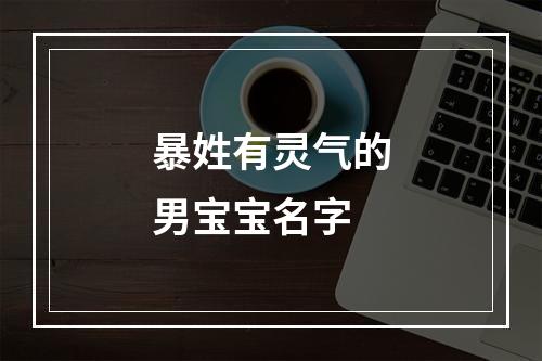 暴姓有灵气的男宝宝名字