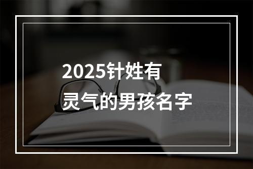 2025针姓有灵气的男孩名字