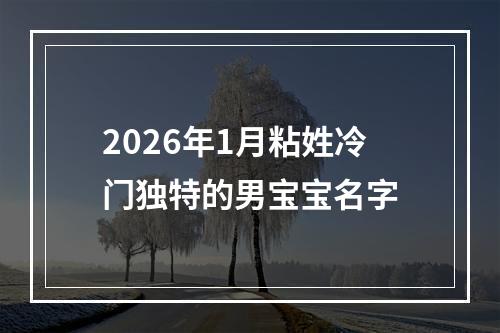 2026年1月粘姓冷门独特的男宝宝名字