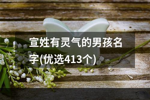 宣姓有灵气的男孩名字(优选413个)