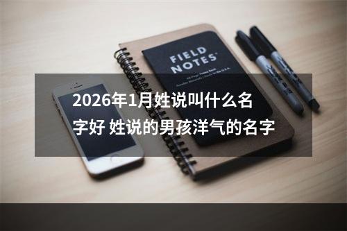 2026年1月姓说叫什么名字好 姓说的男孩洋气的名字