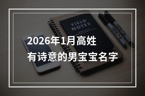 2026年1月高姓有诗意的男宝宝名字