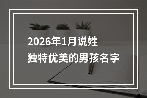 2026年1月说姓独特优美的男孩名字