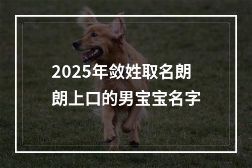 2025年敛姓取名朗朗上口的男宝宝名字