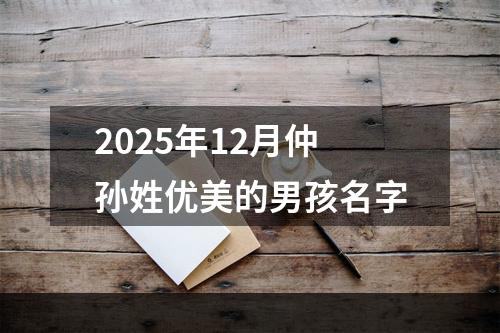 2025年12月仲孙姓优美的男孩名字