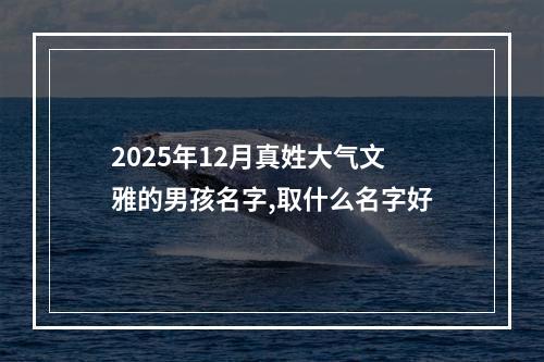 2025年12月真姓大气文雅的男孩名字,取什么名字好