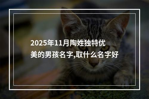 2025年11月陶姓独特优美的男孩名字,取什么名字好