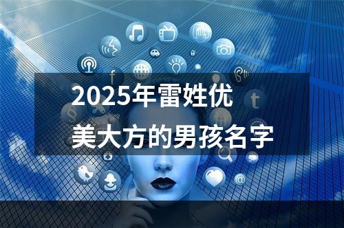 2025年雷姓优美大方的男孩名字