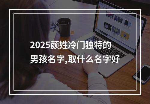 2025颜姓冷门独特的男孩名字,取什么名字好
