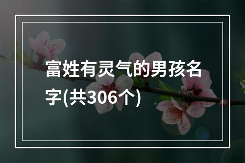 富姓有灵气的男孩名字(共306个)