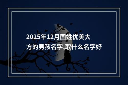 2025年12月国姓优美大方的男孩名字,取什么名字好