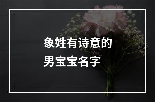 象姓有诗意的男宝宝名字