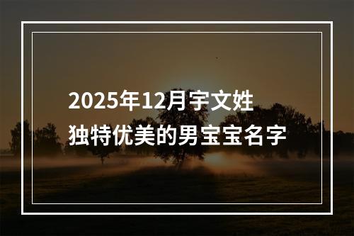 2025年12月宇文姓独特优美的男宝宝名字