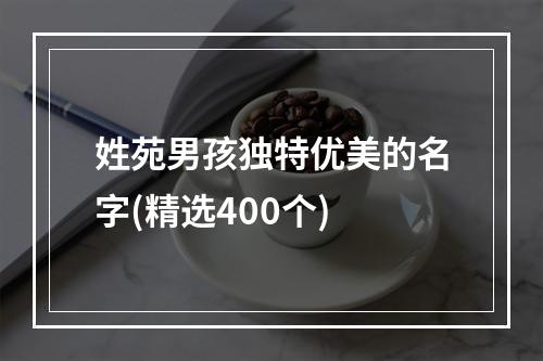 姓苑男孩独特优美的名字(精选400个)