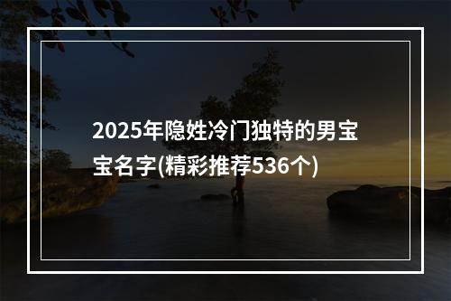 2025年隐姓冷门独特的男宝宝名字(精彩推荐536个)