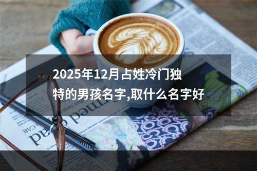 2025年12月占姓冷门独特的男孩名字,取什么名字好