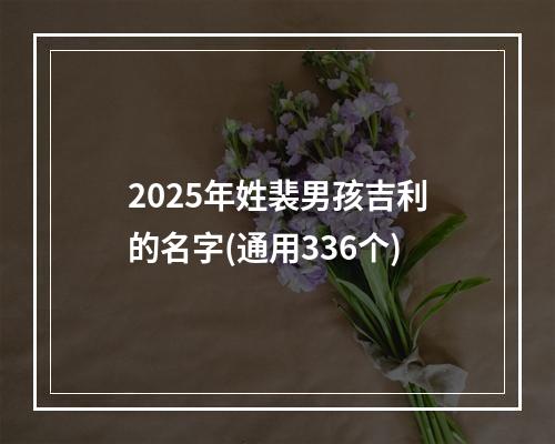 2025年姓裴男孩吉利的名字(通用336个)