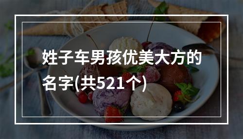 姓子车男孩优美大方的名字(共521个)