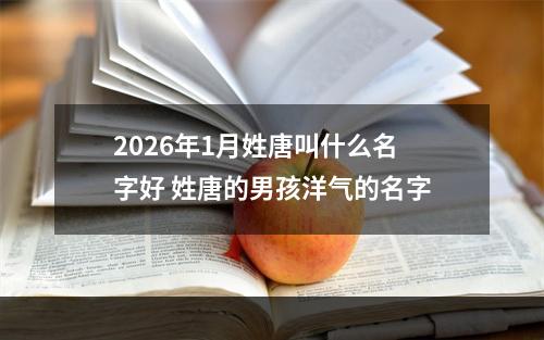 2026年1月姓唐叫什么名字好 姓唐的男孩洋气的名字