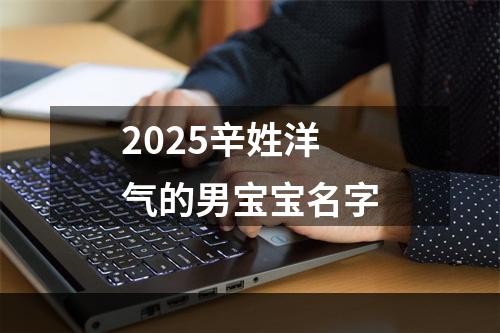 2025辛姓洋气的男宝宝名字