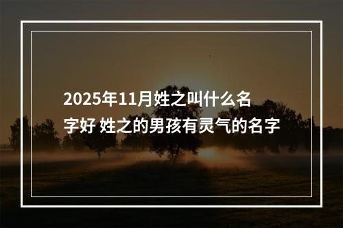 2025年11月姓之叫什么名字好 姓之的男孩有灵气的名字