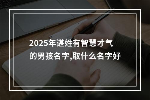 2025年谌姓有智慧才气的男孩名字,取什么名字好