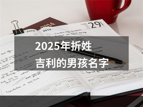2025年折姓吉利的男孩名字