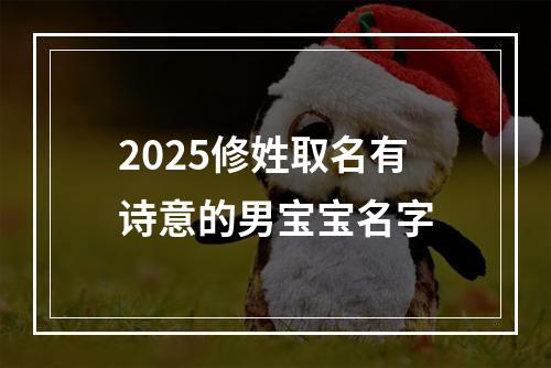 2025修姓取名有诗意的男宝宝名字