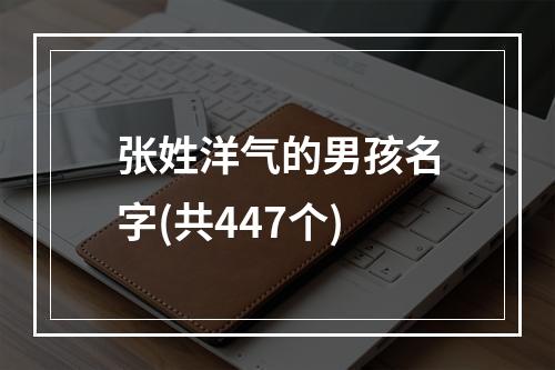 张姓洋气的男孩名字(共447个)