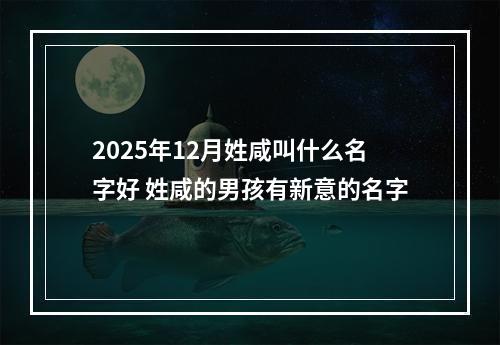 2025年12月姓咸叫什么名字好 姓咸的男孩有新意的名字
