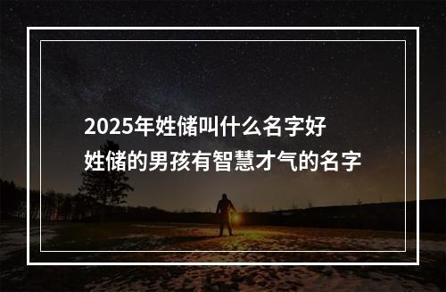 2025年姓储叫什么名字好 姓储的男孩有智慧才气的名字